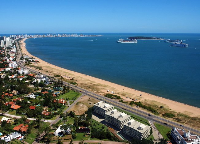 Punta-Del-Este-Punta-Del-Este-Uruguay-4066