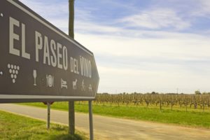 Weinstraße der Weinkellereien Uruguays