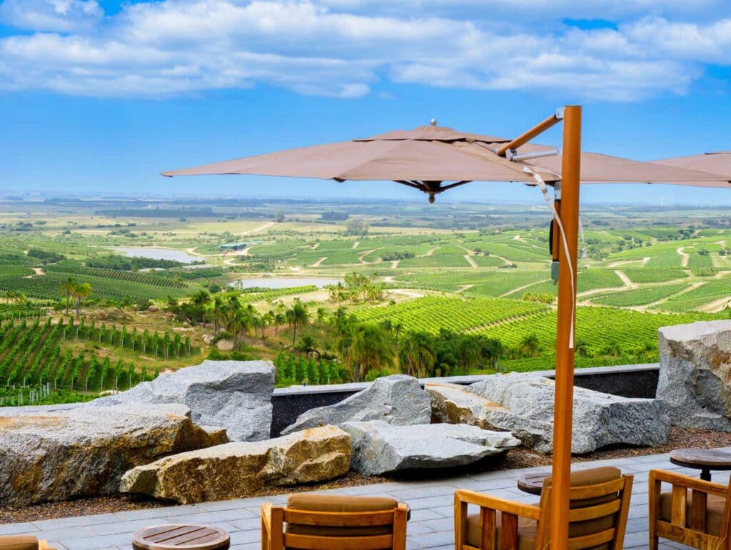 Panoramablick auf den Weinberg von einer Terrasse der Bodega Garzon