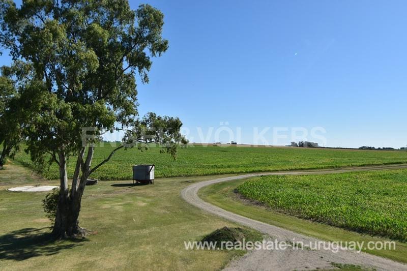 Rural Property in Carmelo Colonia Real Estate in Uruguay