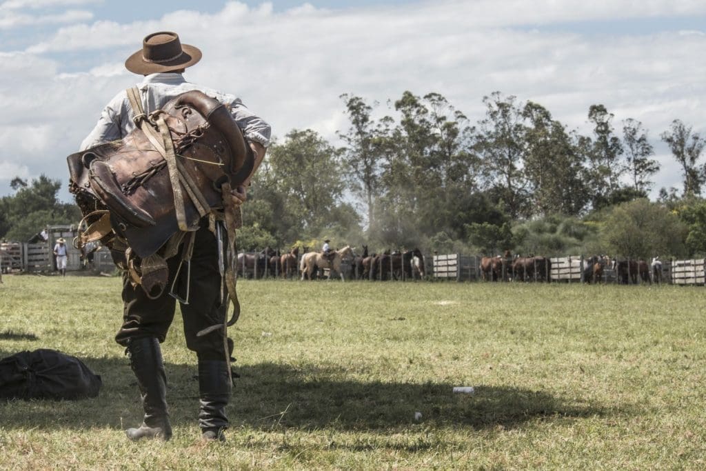 Gaucho with saddle and pack, observing horses in a field in Uruguay