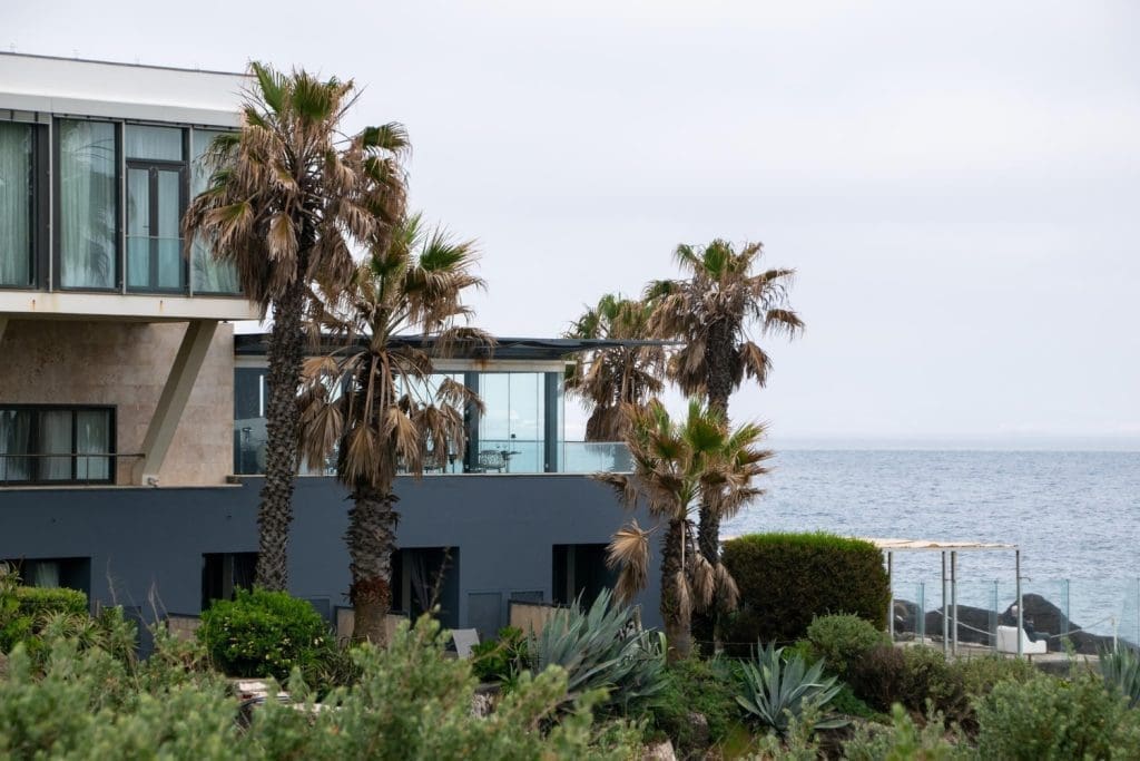 Modern beachfront home with large windows and palm trees overlooking the ocean.