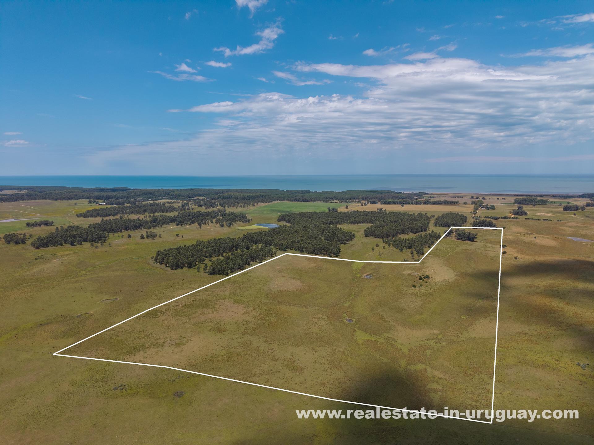 Santa Isabel Rocha Prime Land for Sale in Santa Isabel, Rocha